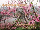 Published on 12/29/2015 ���ֹ�,��½�󷨵��ӹ�ףʦ���������(33��)
