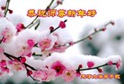 Published on 1/1/2016 ���ֹ�,��½�󷨵��ӹ�ףʦ���������(25��)
