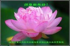 Published on 1/1/2016 ���ֹ�,��½�󷨵��ӹ�ףʦ���������(25��)

