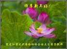 Published on 1/1/2016 ���ֹ�,��½�󷨵��ӹ�ףʦ���������(25��)
