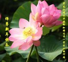 Published on 1/1/2016 ���ֹ�,��½�󷨵��ӹ�ףʦ���������(37��)
