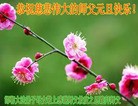 Published on 1/1/2016 ���ֹ�,��½�󷨵��ӹ�ףʦ���������(42��)
