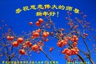 Published on 1/1/2016 ���ֹ�,��½�󷨵��ӹ�ףʦ���������(24��)
