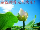 Published on 1/1/2016 ���ֹ�,��½�󷨵��ӹ�ףʦ���������(24��)
