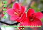 Published on 12/29/2015 ���ֹ�,��½�󷨵��ӹ�ףʦ���������(35��)
