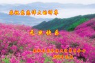 ֹ,մ󷨵ӹףʦ(27)
