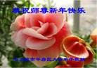 Published on 1/1/2016 ���ֹ�,��½�󷨵��ӹ�ףʦ���������(25��)
