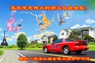 Published on 12/29/2015 ���ֹ�,��½�󷨵��ӹ�ףʦ���������(27��)
