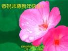 Published on 12/29/2015 ���ֹ�,��½�󷨵��ӹ�ףʦ���������(27��)
