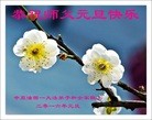 Published on 12/31/2015 ���ֹ�,��½�󷨵��ӹ�ףʦ���������(26��)

