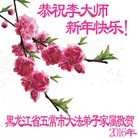 Published on 12/31/2015 ���ֹ�,��½�󷨵��ӹ�ףʦ���������(26��)
