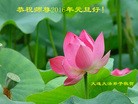 Published on 12/31/2015 ���ֹ�,��½�󷨵��ӹ�ףʦ���������(26��)
