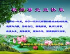 Published on 12/29/2015 ���ֹ�,��½�󷨵��ӹ�ףʦ���������(29��)

