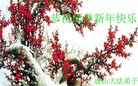 Published on 12/29/2015 ���ֹ�,��½�󷨵��ӹ�ףʦ���������(35��)
