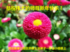 ֹ,żҿڴ󷨵ӹףʦ(23)
