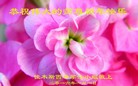 Published on 1/1/2016 ���ֹ�,��½�󷨵��ӹ�ףʦ���������(25��)
