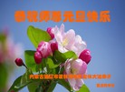 ֹ,ɹŴ󷨵ӹףʦ(30)
