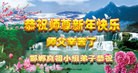 Published on 12/31/2015 ���ֹ�,��½�󷨵��ӹ�ףʦ���������(31��)
