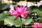 ֹ,㶫󷨵ӹףʦ(28)
