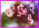 Published on 1/1/2016 ���ֹ�,��½�󷨵��ӹ�ףʦ���������(40��)
