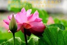 ֹ,󷨵ӹףʦ(24)
