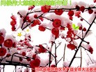 Published on 1/1/2016 ���ֹ�,����ҵ�󷨵��ӹ�ףʦ���������(33��)
