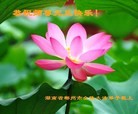 ֹ,ϴ󷨵ӹףʦ(25)
