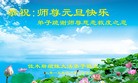 Published on 12/31/2015 ���ֹ�,��½�󷨵��ӹ�ףʦ���������(31��)
