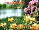 Published on 1/1/2016 ���ֹ�,��½�󷨵��ӹ�ףʦ���������(40��)
