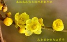 Published on 1/1/2016 ���ֹ�,��½�󷨵��ӹ�ףʦ���������(40��)
