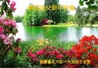 Published on 1/1/2016 ���ֹ�,��½�󷨵��ӹ�ףʦ���������(40��)
