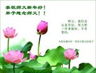 法轮功,大庆大法弟子恭祝师尊新年快乐(24条)
