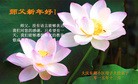 ֹ,󷨵ӹףʦ(24)
