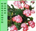 ֹ,󷨵ӹףʦ(24)

