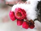 Published on 1/1/2016 ���ֹ�,��½�󷨵��ӹ�ףʦ���������(28��)
