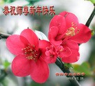 Published on 1/1/2016 ���ֹ�,��½�󷨵��ӹ�ףʦ���������(33��)
