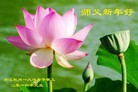 Published on 1/1/2016 ���ֹ�,��½�󷨵��ӹ�ףʦ���������(16��)
