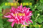 Published on 12/31/2015 ���ֹ�,����ʡ�󷨵��ӹ�ףʦ���������(25��)

