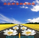 Published on 1/1/2016 ���ֹ�,��½�󷨵��ӹ�ףʦ���������(28��)
