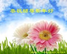Published on 1/1/2016 ���ֹ�,��½�󷨵��ӹ�ףʦ���������(37��)
