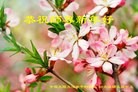 Published on 1/1/2016 ���ֹ�,��½�󷨵��ӹ�ףʦ���������(28��)

