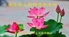 Published on 1/1/2016 ���ֹ�,��½�󷨵��ӹ�ףʦ���������(28��)
