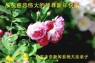 Published on 1/1/2016 ���ֹ�,��½�󷨵��ӹ�ףʦ���������(25��)
