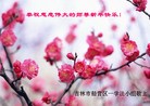ֹ,д󷨵ӹףʦ(24)
