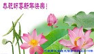 法轮功,河南大法弟子恭祝师尊新年快乐(29条)
