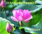 ֹ,󷨵ӹףʦ(27)

