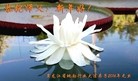 Published on 1/1/2016 ���ֹ�,����ҵ�󷨵��ӹ�ףʦ���������(33��)
