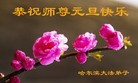 ֹ,󷨵ӹףʦ(23)
