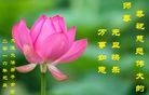 ֹ,󷨵ӹףʦ(25)
