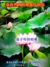 ֹ,󷨵ӹףʦ(23)
